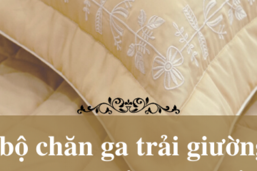 Top 7 bộ chăn ga trải giường 1m6 kèm 2 gối, mẫu mới nhất