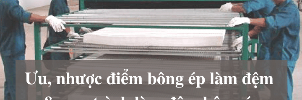 Tìm hiểu ưu, nhược điểm của bông ép làm đệm ghế và đệm ngủ 