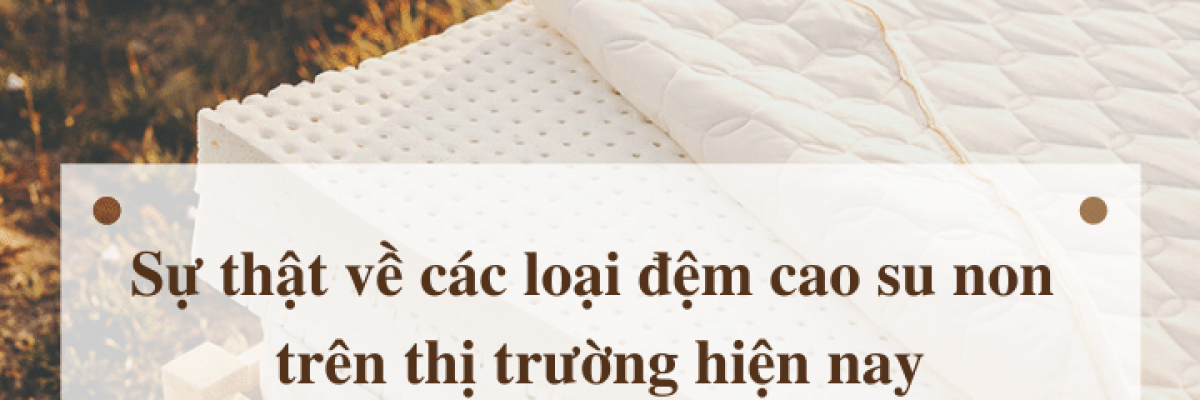 Sự thật về các loại đệm cao su non trên thị trường hiện nay