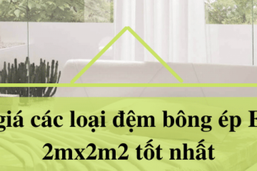 Bảng giá các loại đệm bông ép Everon 2mx2m2 tốt nhất