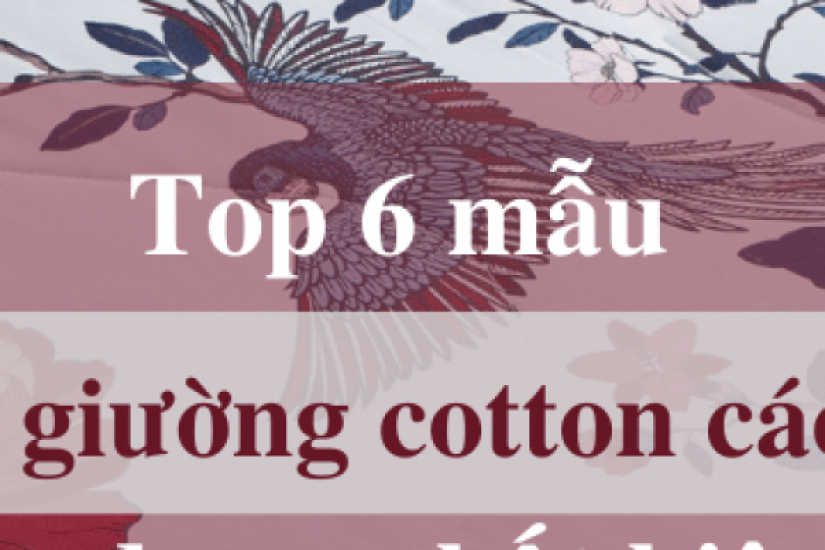 Top 6 mẫu drap giường cotton các loại thông dụng nhất hiện nay