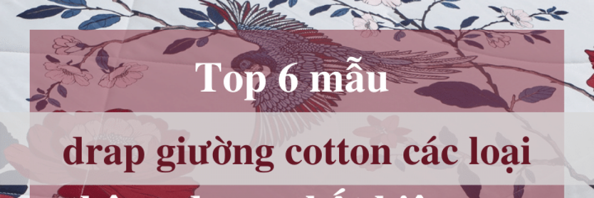 Top 6 mẫu drap giường cotton các loại thông dụng nhất hiện nay