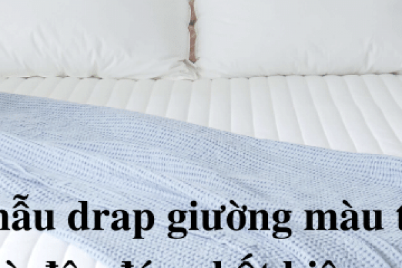 Top 5 mẫu drap giường màu trơn đẹp và độc đáo nhất hiện nay