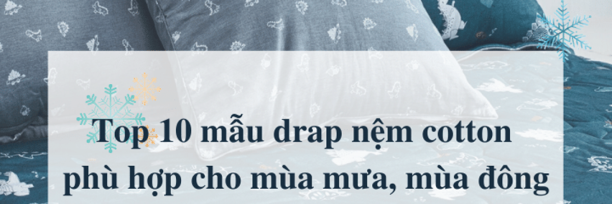 Top 10 mẫu drap nệm cotton phù hợp cho mùa mưa, mùa đông 