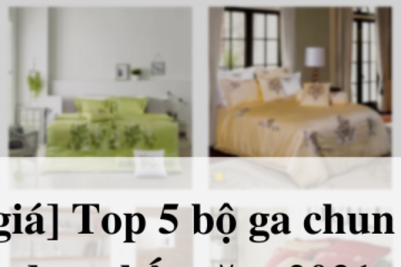 Top 5 Bộ ga chun Cotton đẹp nhất 2022