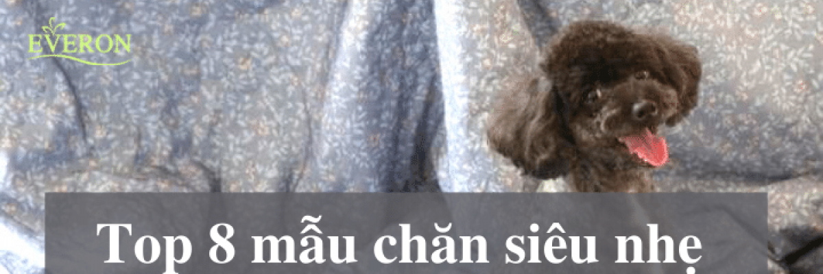 Top 8 mẫu chăn hè siêu nhẹ chất lượng nhất tại Everon