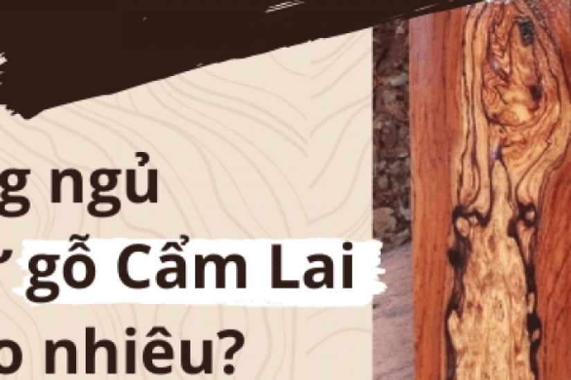 Giường ngủ gỗ Cẩm Lai có giá bao nhiêu? Có tốt không?