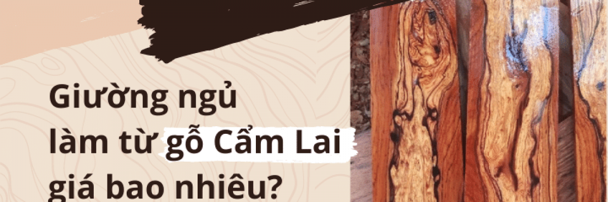 Giường ngủ gỗ Cẩm Lai có giá bao nhiêu? Có tốt không?