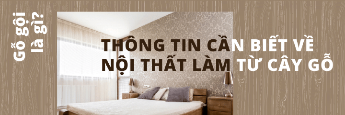 Gỗ gội là gì? Những thông tin cần biết về giường ngủ gỗ gội