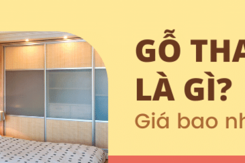 Giường gỗ thao lao là gì? Làm giường ngủ có tốt không? Giá bao nhiêu