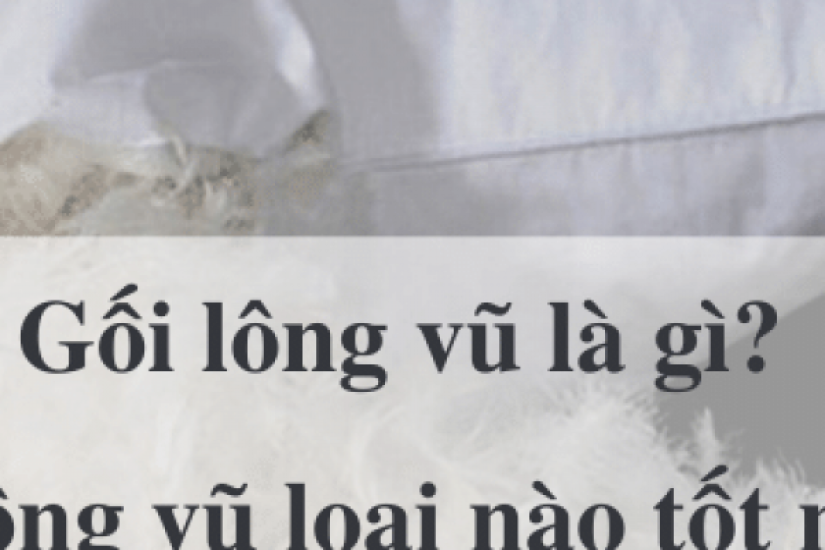 Gối lông vũ là gì? Gối lông vũ loại nào tốt? Mua ở đâu?