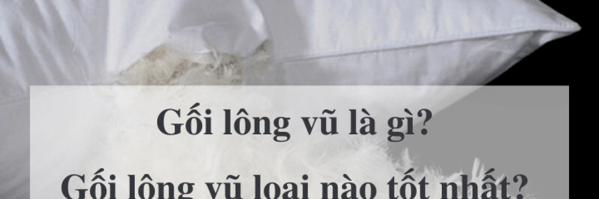 Gối lông vũ là gì? Gối lông vũ loại nào tốt? Mua ở đâu?