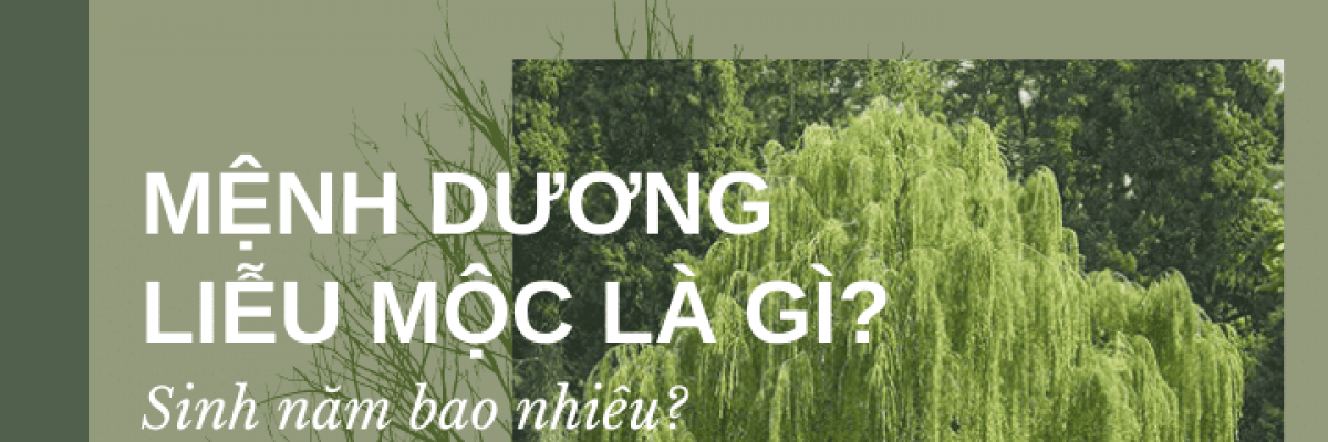 Mệnh dương liễu mộc là gì? Sinh năm bao nhiêu? Hợp màu gì?