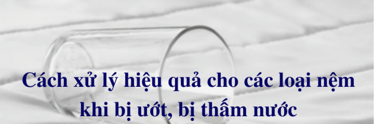 Cách xử lý nệm bị ướt kịp thời, đúng cách cho mỗi loại nệm