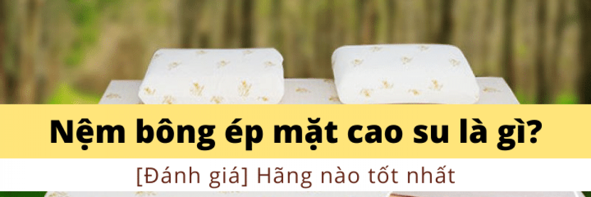 Nệm bông ép mặt cao su là gì? [Đánh giá] Hãng nào tốt nhất