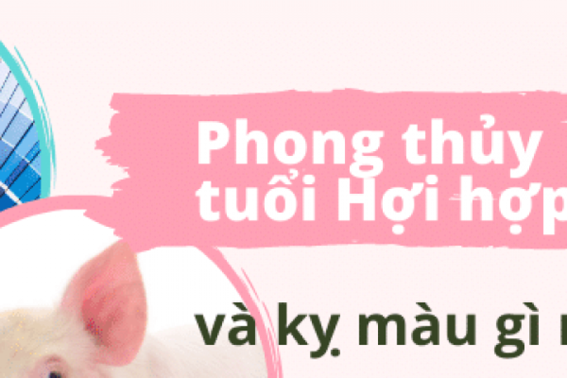 Phong thủy tuổi Hợi hợp màu gì và kỵ màu gì nhất?