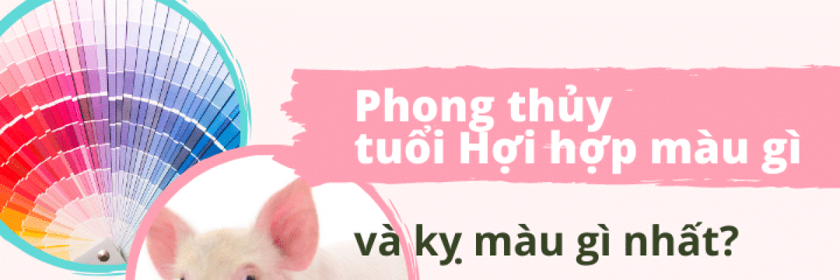 Phong thủy tuổi Hợi hợp màu gì và kỵ màu gì nhất?