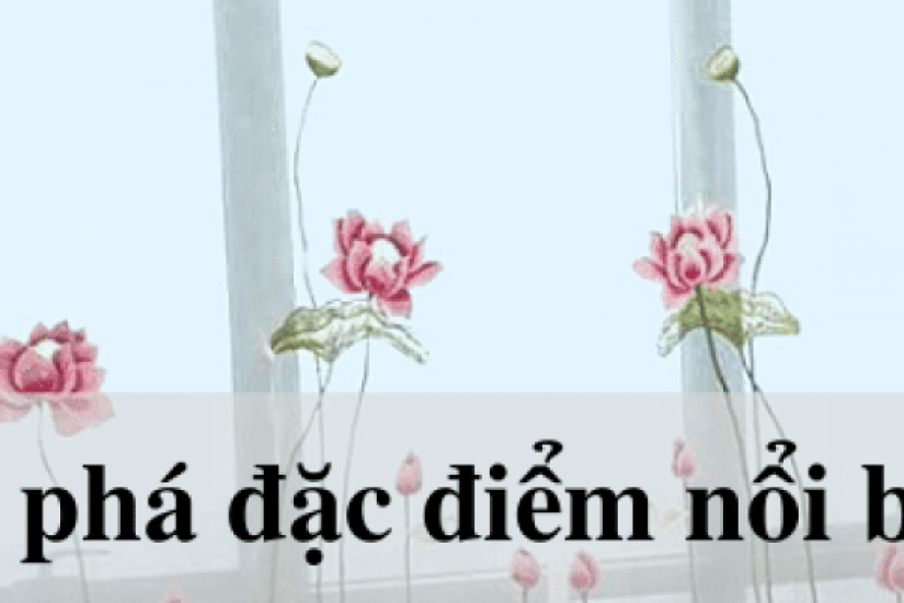 Khám phá đặc điểm của rèm voan thêu hoa sen đẹp