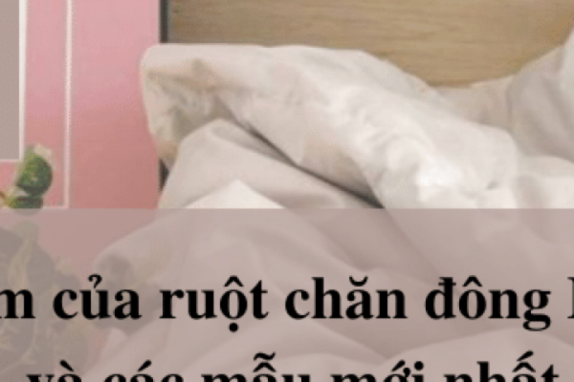 Ưu điểm của ruột chăn đông Everon và các mẫu mới nhất