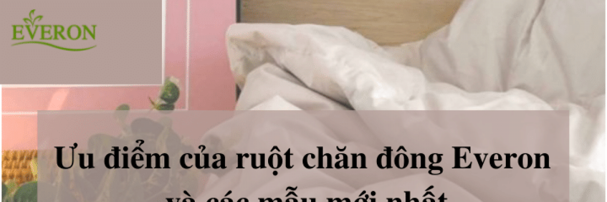 Ưu điểm của ruột chăn đông Everon và các mẫu mới nhất