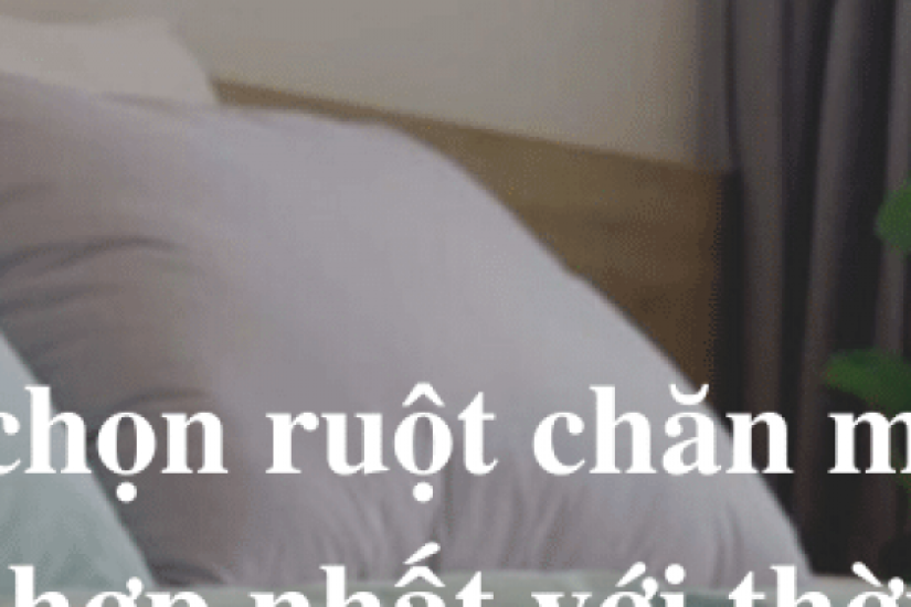 Cách chọn ruột chăn mùa hè phù hợp nhất với thời tiết