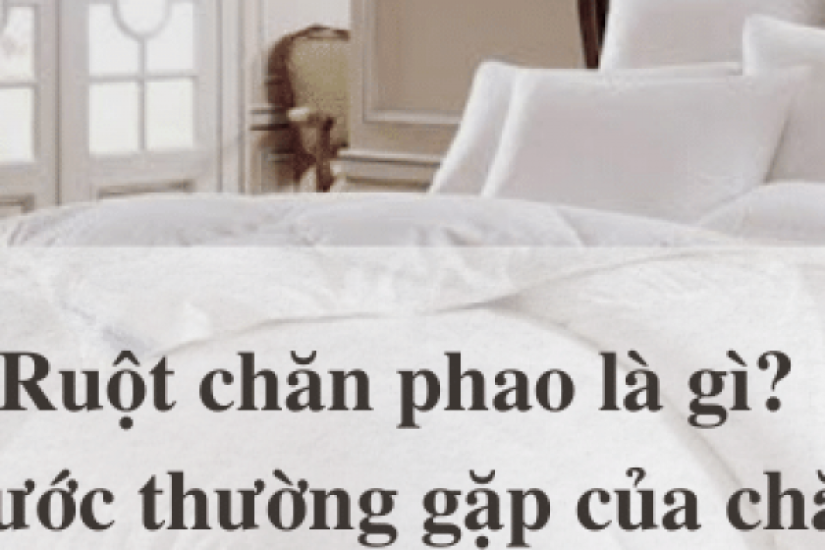 Chăn phao là gì? Kích thước thường gặp của chăn phao là bao nhiêu?