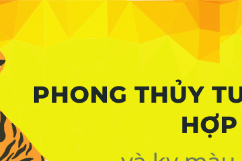 Phong thủy tuổi Dần hợp màu gì và kỵ màu gì nhất?