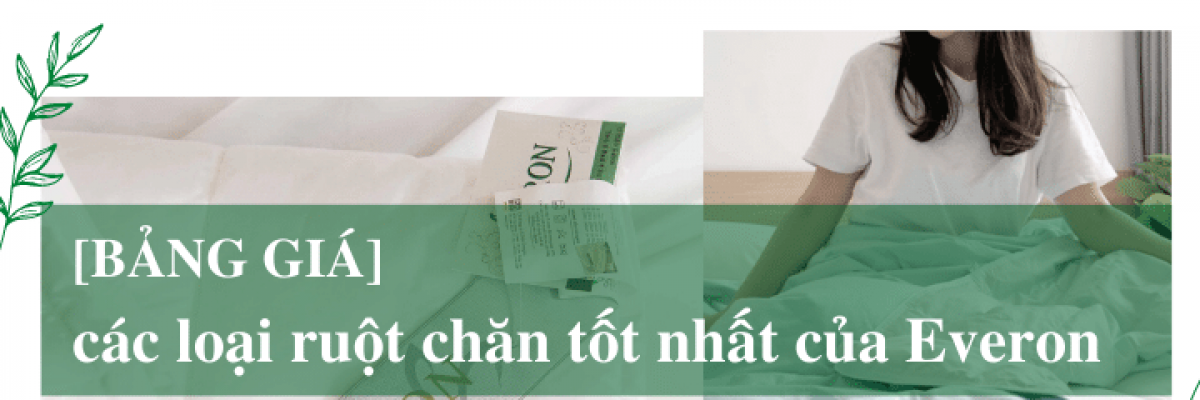 Bảng giá các loại ruột chăn tốt nhất của Everon