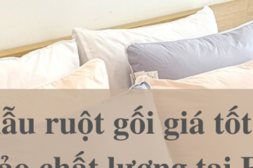 Các mẫu ruột gối giá rẻ nhất tại Everon