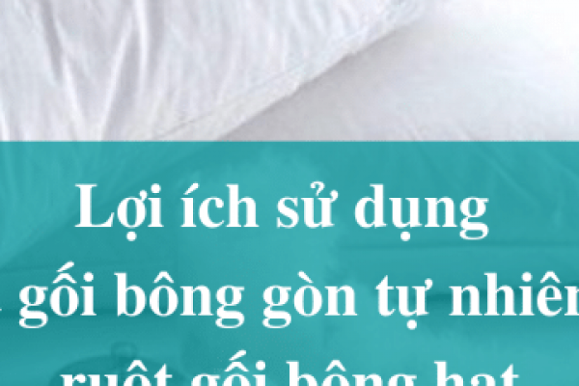 Lợi ích sử dụng của các loại gối bông: gối bông gòn tự nhiên và gối bông hạt