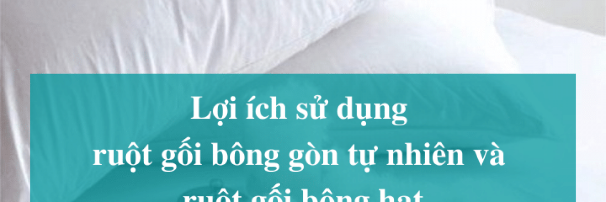 Lợi ích sử dụng của các loại gối bông: gối bông gòn tự nhiên và gối bông hạt