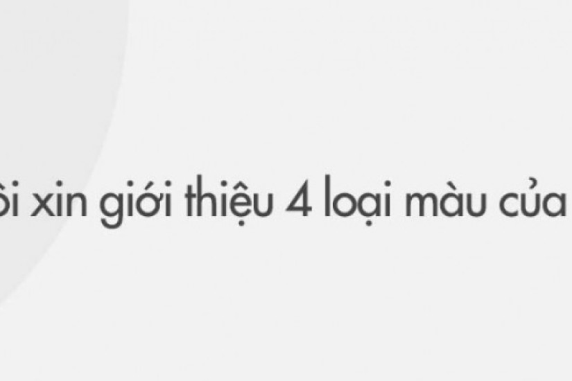 [Bảng giá] 10 loại ruột gối Everon 45x65 tốt nhất & Ưu đãi