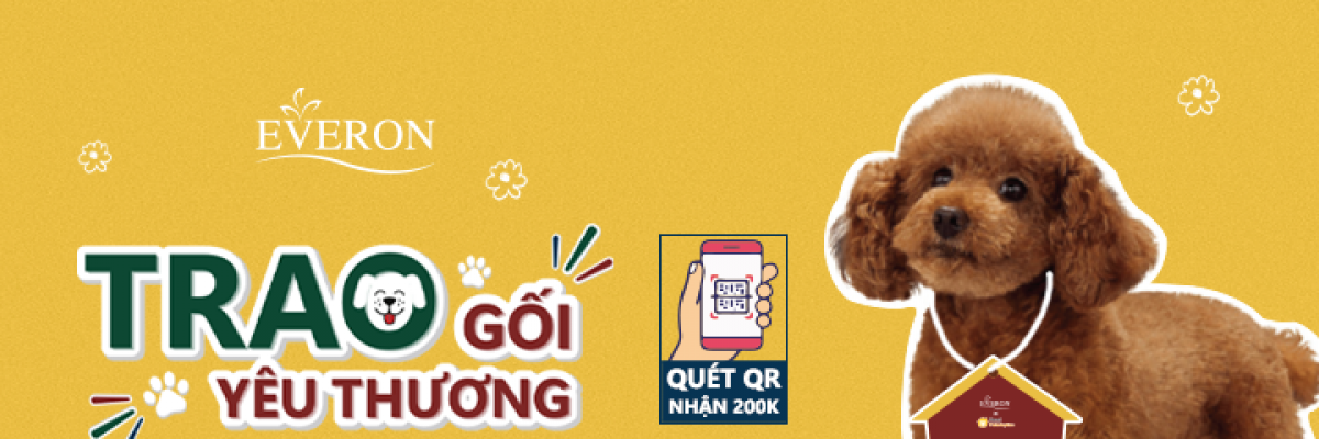 Trao gối, gửi yêu thương - Động vật cũng có quyền ngủ ngon!