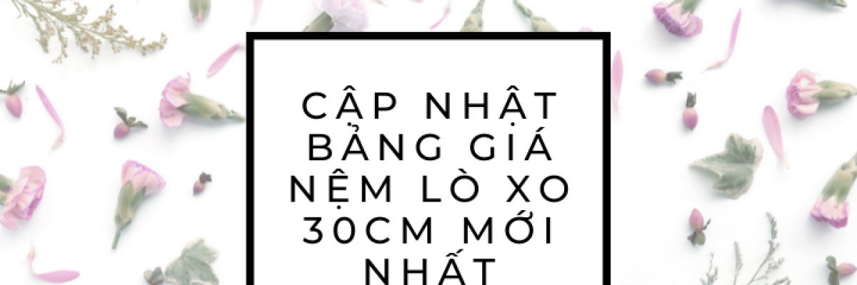 Cập nhật bảng giá nệm lò xo 30cm mới nhất 2022