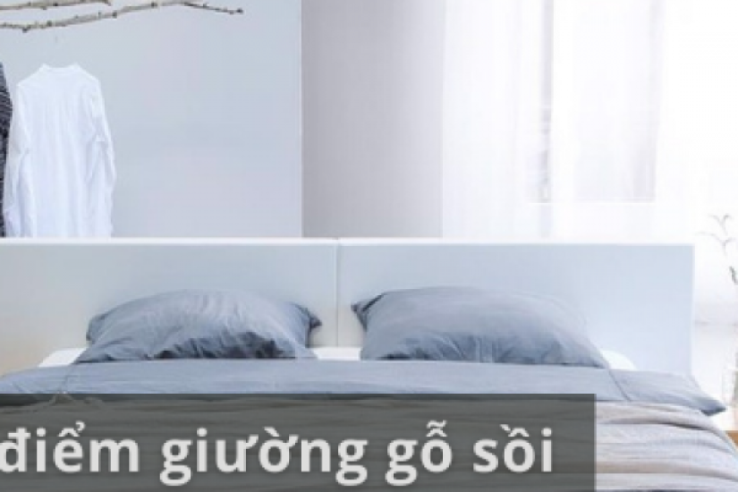 Ưu, nhược điểm của giường ngủ gỗ sồi nga 1m6, 1m8 và top 10 mẫu đẹp nhất 2022