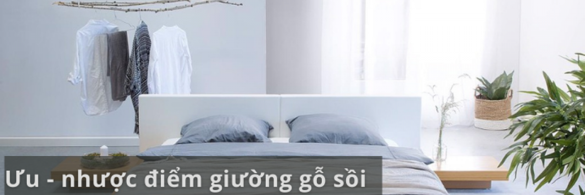 Ưu, nhược điểm của giường ngủ gỗ sồi nga 1m6, 1m8 và top 10 mẫu đẹp nhất 2022