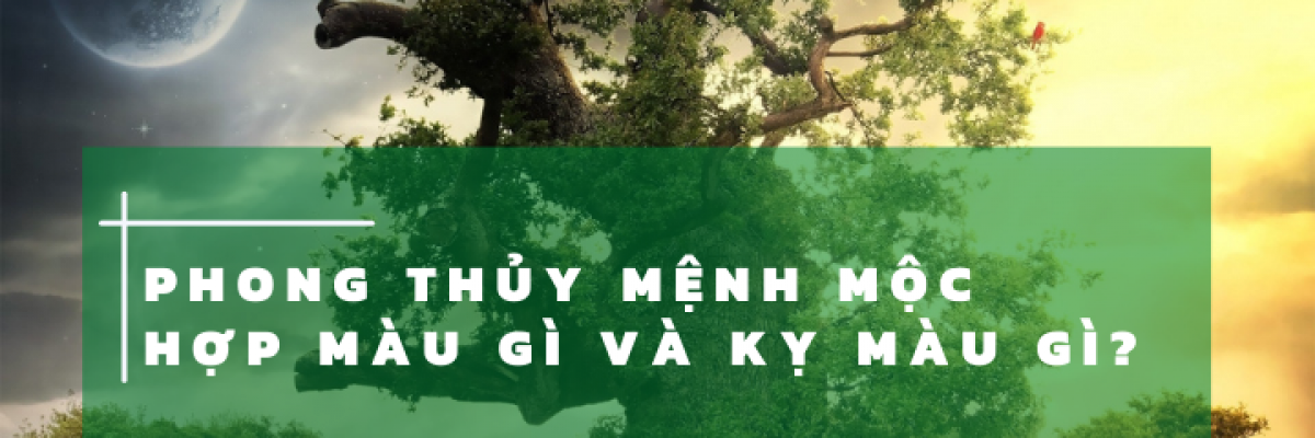 Phong thủy mệnh Mộc hợp màu gì và kỵ màu gì?