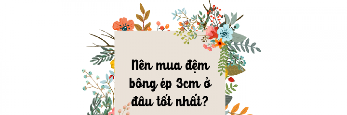 Nên mua đệm bông ép 3cm ở đâu tốt nhất?