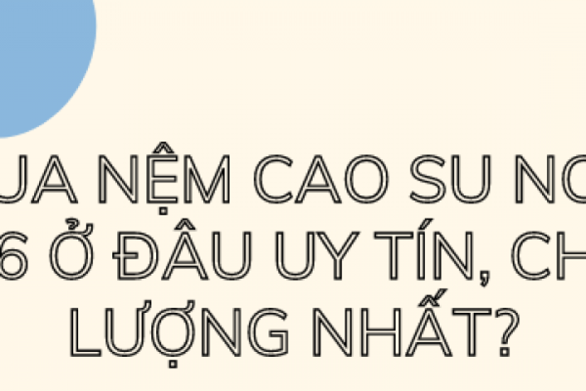 Mua nệm cao su non 1m6 ở đâu uy tín, chất lượng nhất?