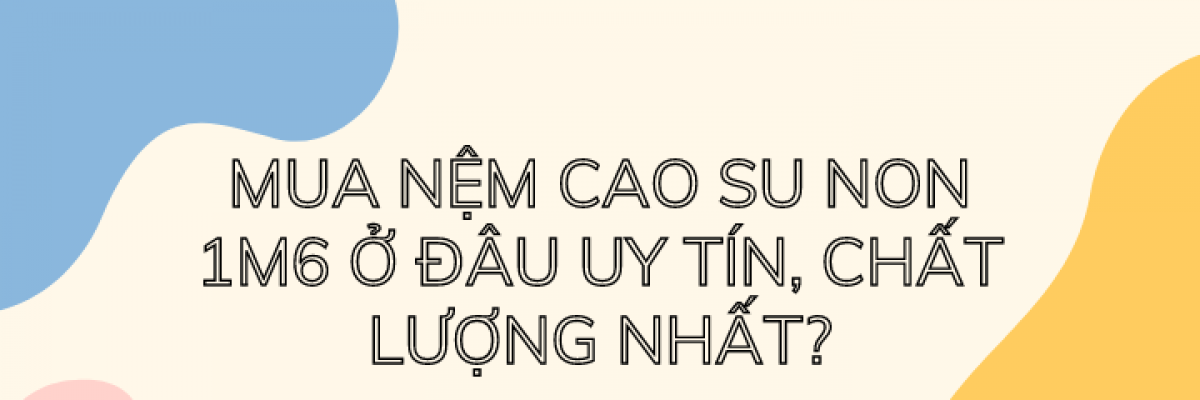 Mua nệm cao su non 1m6 ở đâu uy tín, chất lượng nhất?