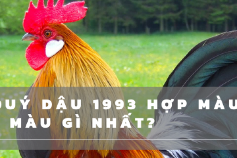 Tuổi Quý Dậu 1993 hợp màu gì và kỵ màu gì nhất?