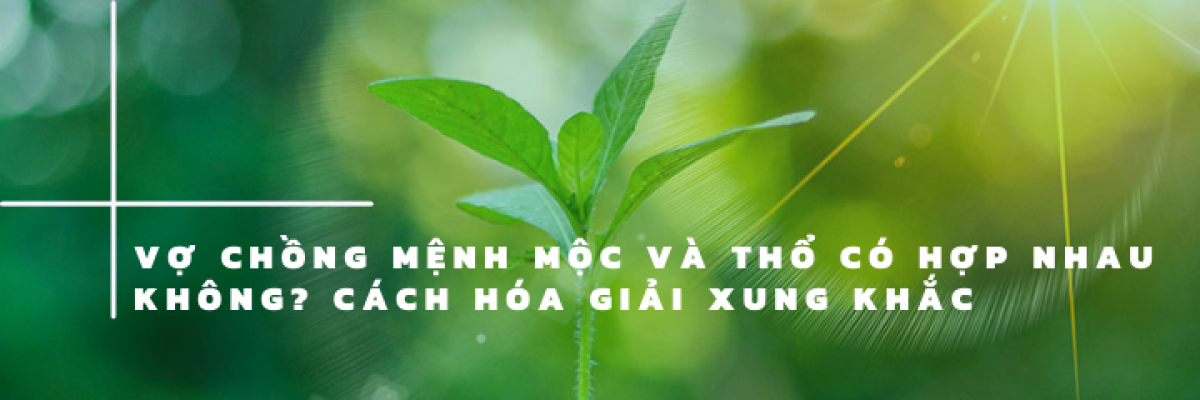 Vợ chồng mệnh Mộc và Thổ có hợp nhau không? Cách hóa giải xung khắc